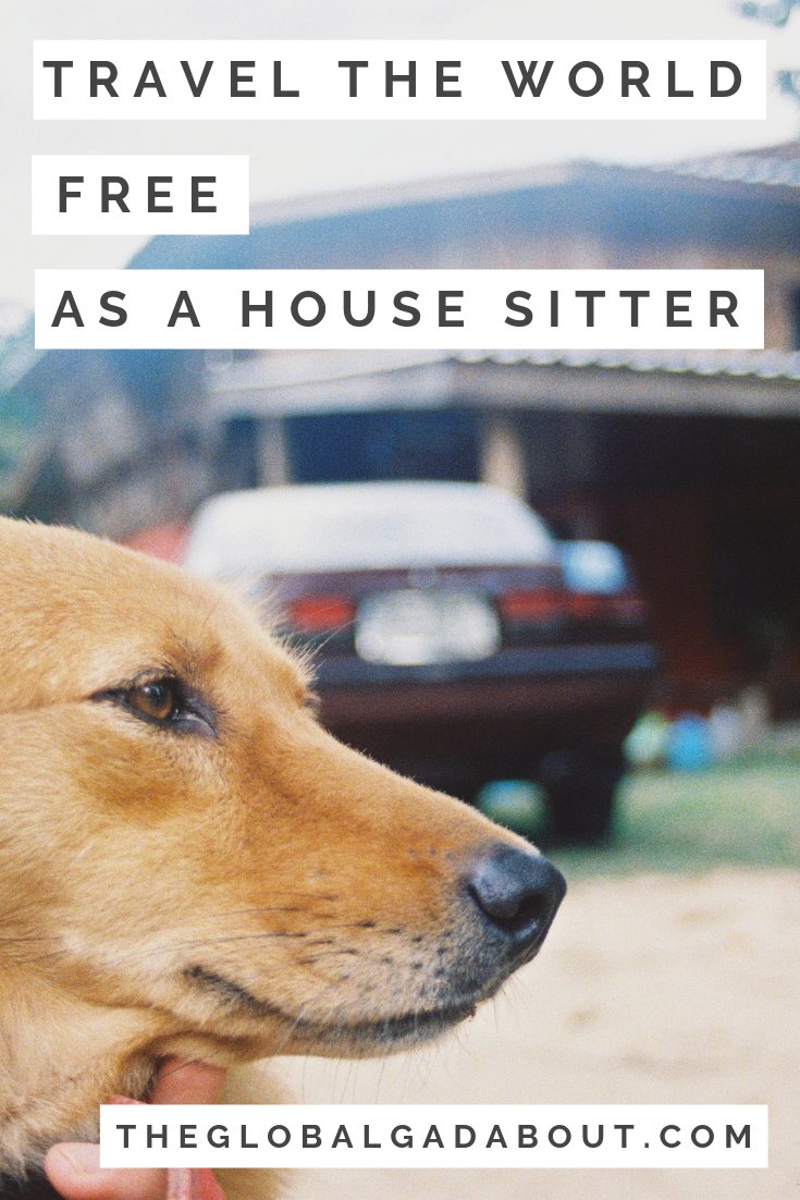 #HouseSitting is a super cool way to get #freeaccommodation while traveling! Take care of pets and get a FREE, private place to stay. Need more reasons to try it? Click through to read all about the benefits of house sitting. #housesit #freetravel #theglobalgadabout #travelblog #travelblogger #travelhack #travelhacking #petsitting