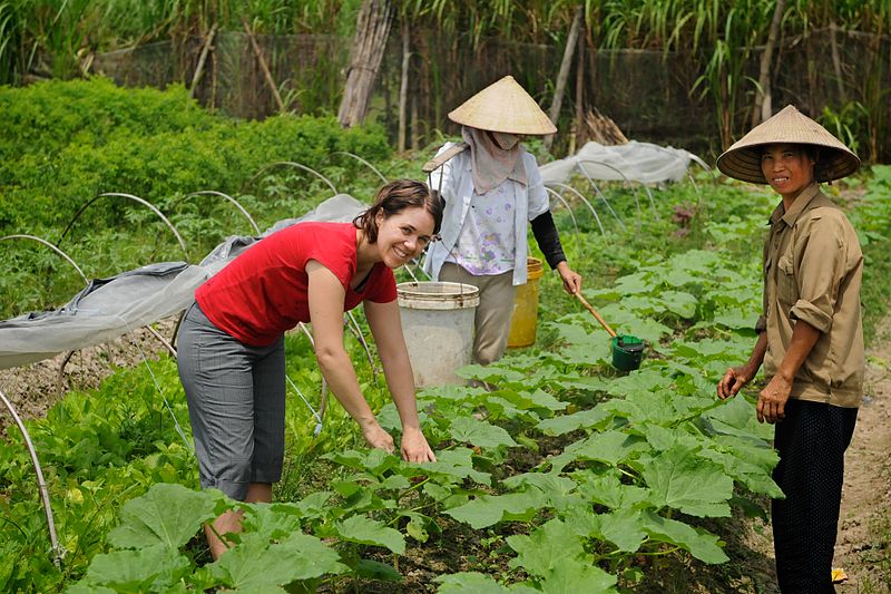 What is WWOOFing? Click through to learn all about this #voluntourism opportunity and why it's great for #budgettravel & a way to learn new skills! #wwoof #wwoofing #cheaptravel #freetravel #theglobalgadabout #travelblog #travelblogger