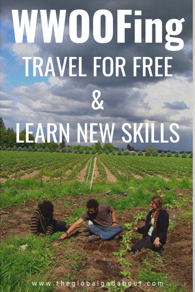 What is WWOOFing? Click through to learn all about this #voluntourism opportunity and why it's great for #budgettravel & a way to learn new skills! #wwoof #wwoofing #cheaptravel #freetravel #theglobalgadabout #travelblog #travelblogger