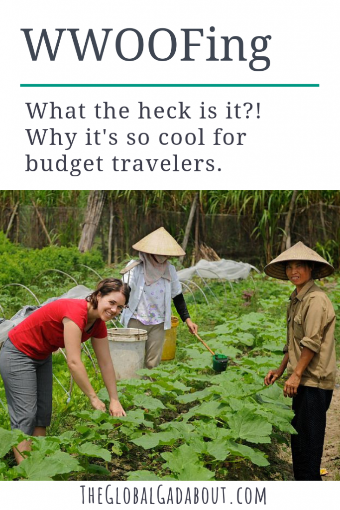 What is WWOOFing? Click through to learn all about this #voluntourism opportunity and why it's great for #budgettravel & a way to learn new skills! #wwoof #wwoofing #cheaptravel #freetravel #theglobalgadabout #travelblog #travelblogger