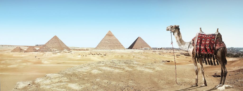 A panorama of the pyramids of Giza in Egypt with a camel in the foreground.