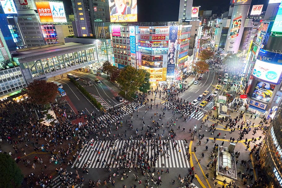 Shibuya Crossing in Japan at night.