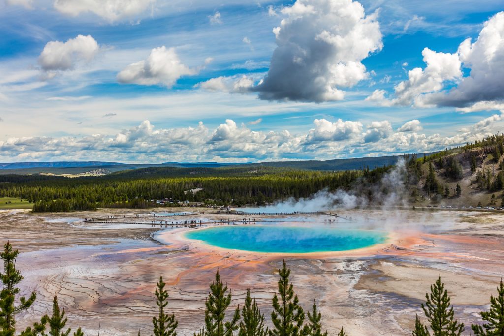 Geyser at Yellowstone National Park.